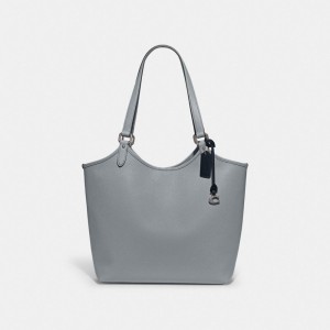 Silver/Grey Blue Coach Day Tote Bag | COH865051