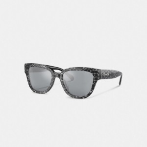 Silver Pearlized Signature Coach Signature Round Sunglasses | COH866393