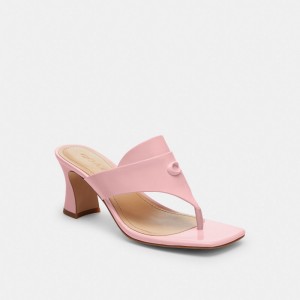 Soft Pink Coach Bree Sandal | COH865883