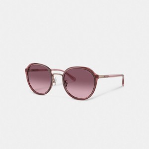 Transparent Berry Coach Hangtag Geometric Round Sunglasses | COH866394