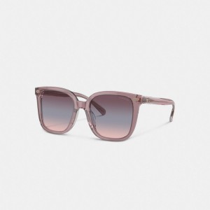 Transparent Blush Coach Beveled Signature Oversized Square Sunglasses | COH866399