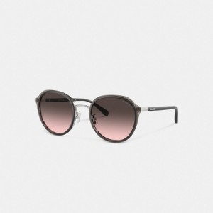 Transparent Gray Coach Hangtag Geometric Round Sunglasses | COH866335