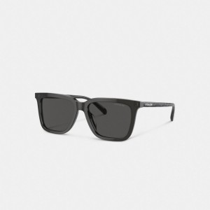 Transparent Grey/Signature Coach Signature Square Sunglasses | COH866363