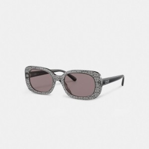 Transparent Grey Signature Coach Badge Rounded Square Sunglasses | COH866397