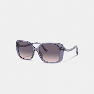 Transparent Purple Coach Swoop Temple Rectangle Sunglasses | COH866343