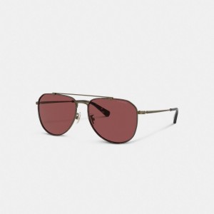 Wine Coach Metal Windsor Pilot Sunglasses | COH867065