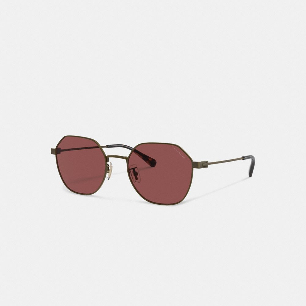 Antique Gold/Wine Coach Hinged Geometric Round Sunglasses | COH867066