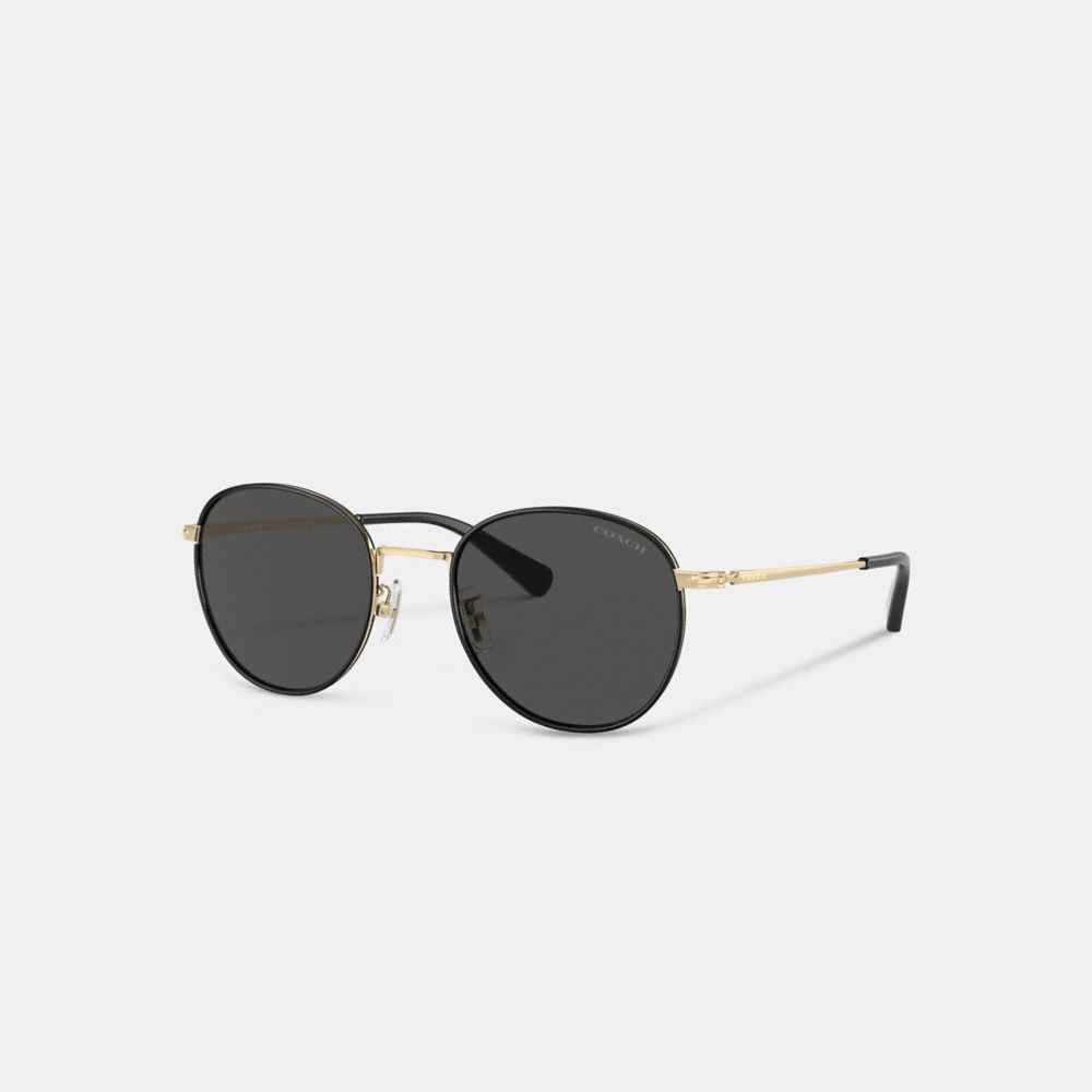 Black/Shiny Light Gold Coach Metal Windsor Round Sunglasses | COH867055