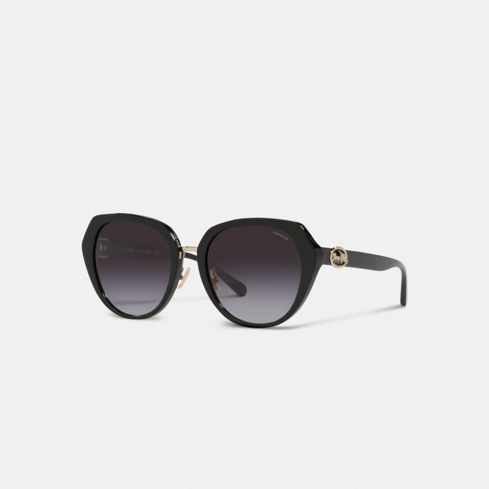 Black Coach Horse And Carriage Oversized Round Sunglasses | COH866344