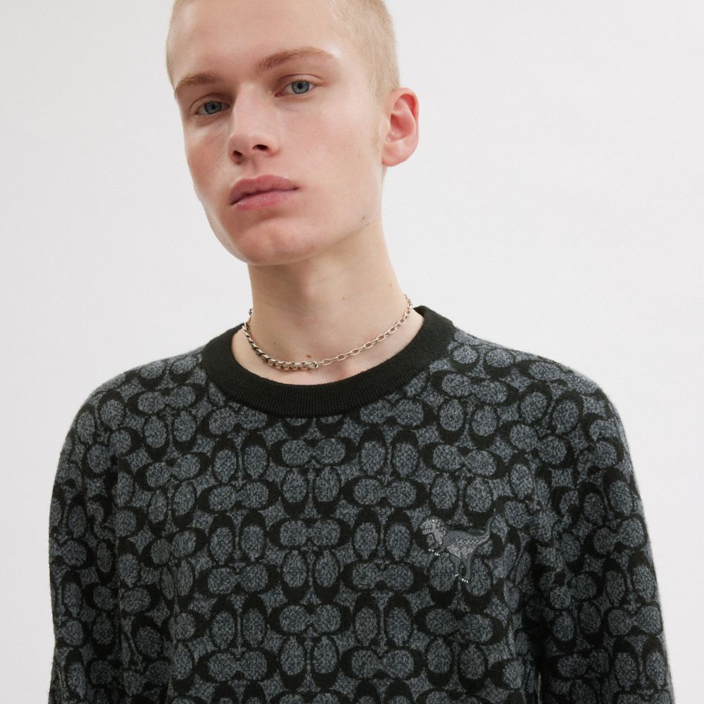 Black Signature Coach Rexy Sweater | COH866889
