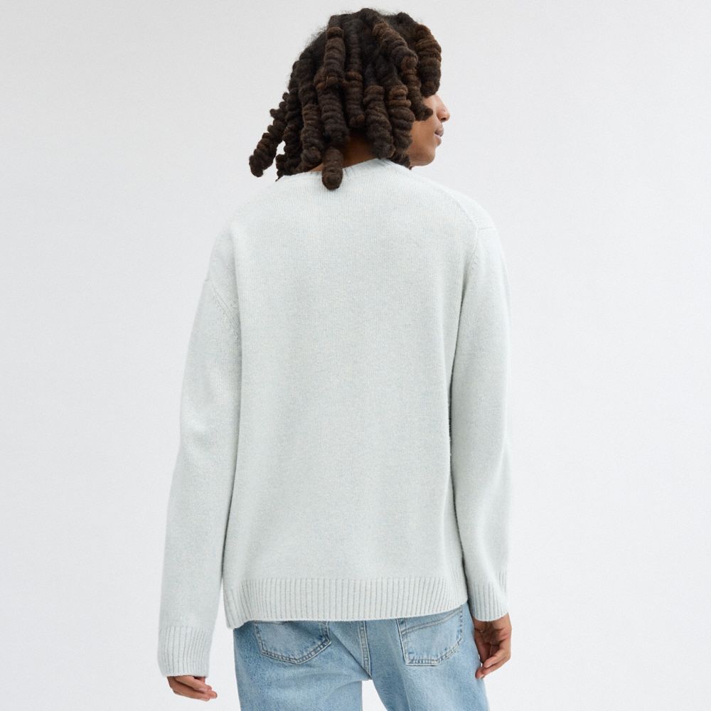 Blue Coach Sweater | COH866891