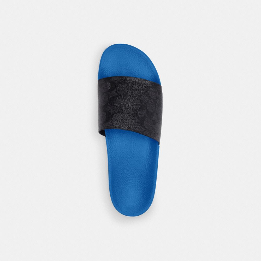 Blueberry Coach Slide | COH866841