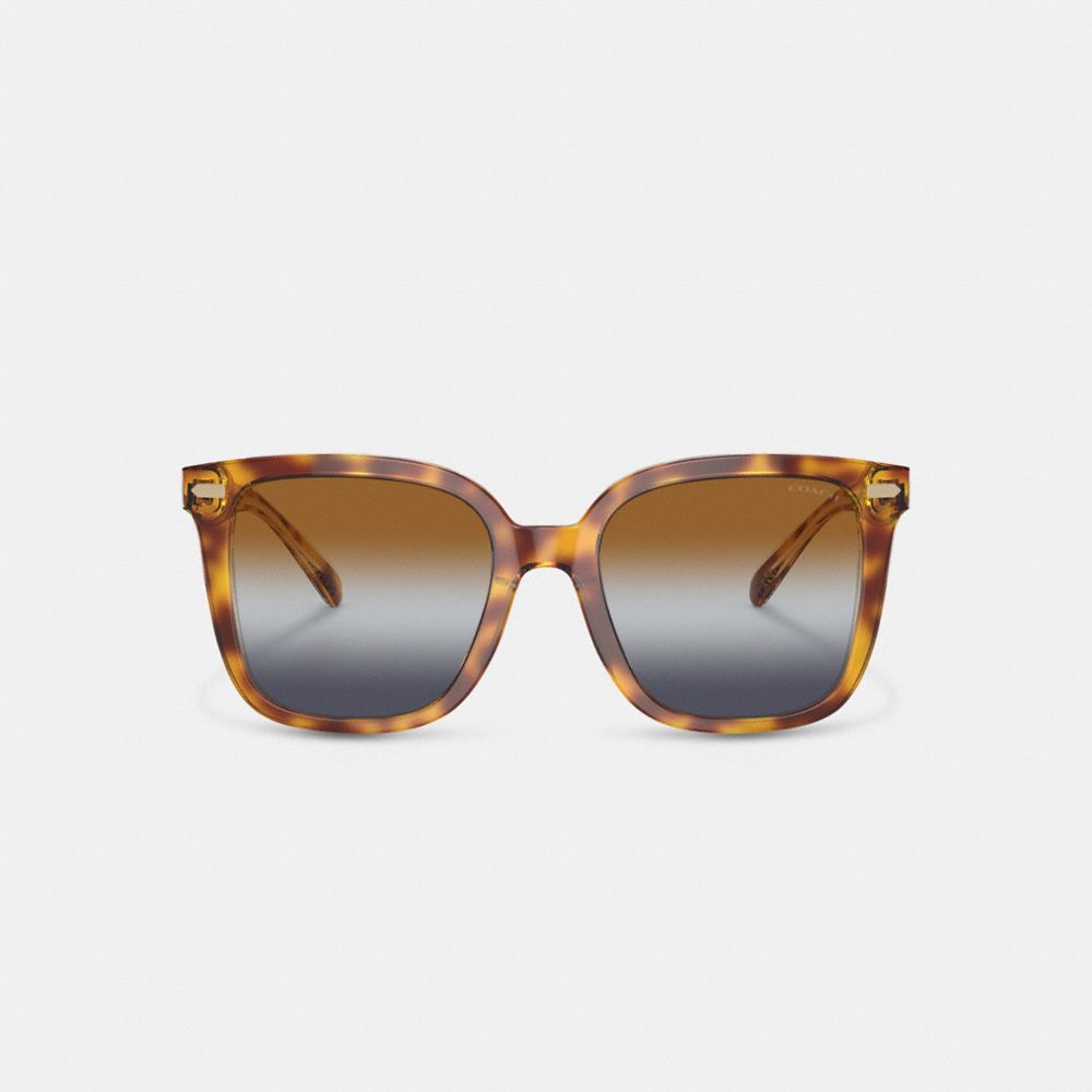 Brown Blue Grey Gradient Coach Beveled Signature Oversized Square Sunglasses | COH866364