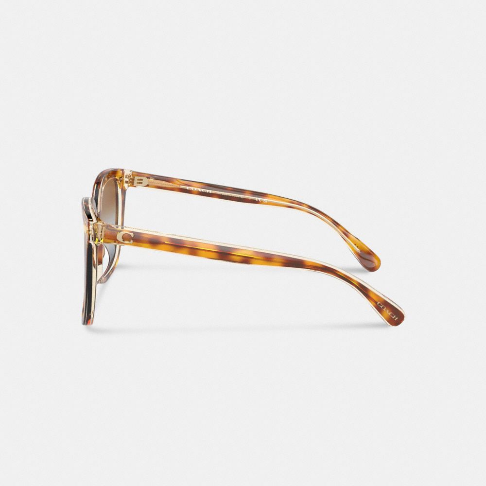 Brown Blue Grey Gradient Coach Beveled Signature Oversized Square Sunglasses | COH866364