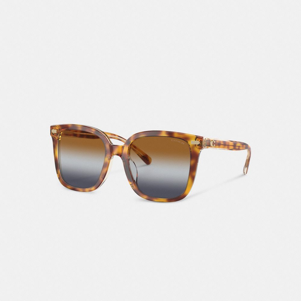 Brown Blue Grey Gradient Coach Beveled Signature Oversized Square Sunglasses | COH866364