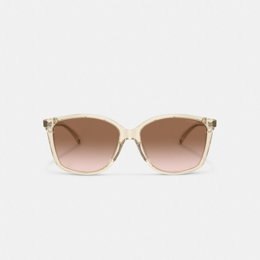 Brown Pink Gradient Coach Embedded Wire Square Sunglasses | COH866357