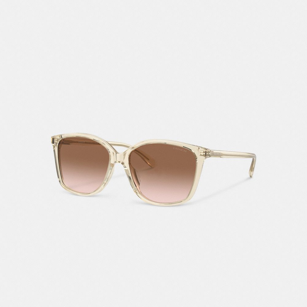 Brown Pink Gradient Coach Embedded Wire Square Sunglasses | COH866357