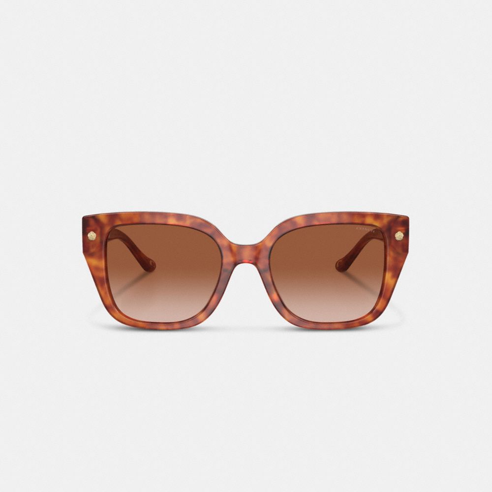 Caramel Tortoise Coach Charms Oversized Square Sunglasses | COH866328