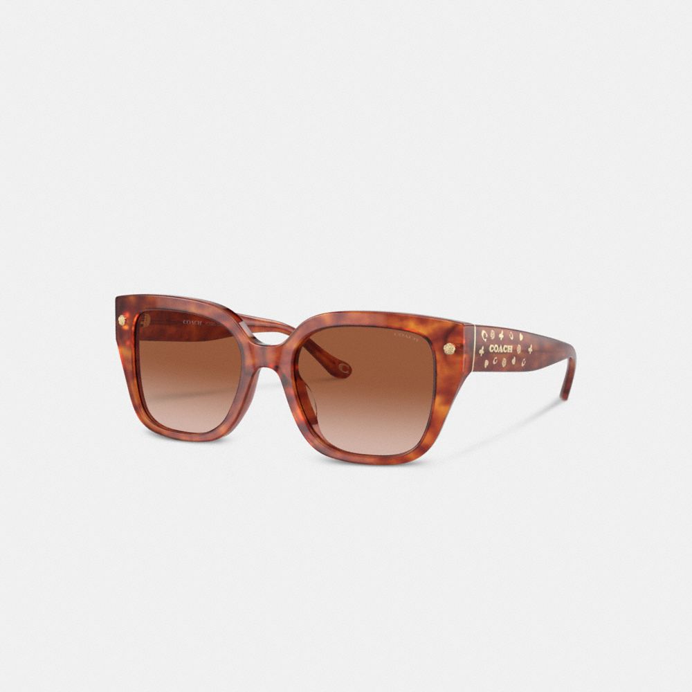 Caramel Tortoise Coach Charms Oversized Square Sunglasses | COH866328