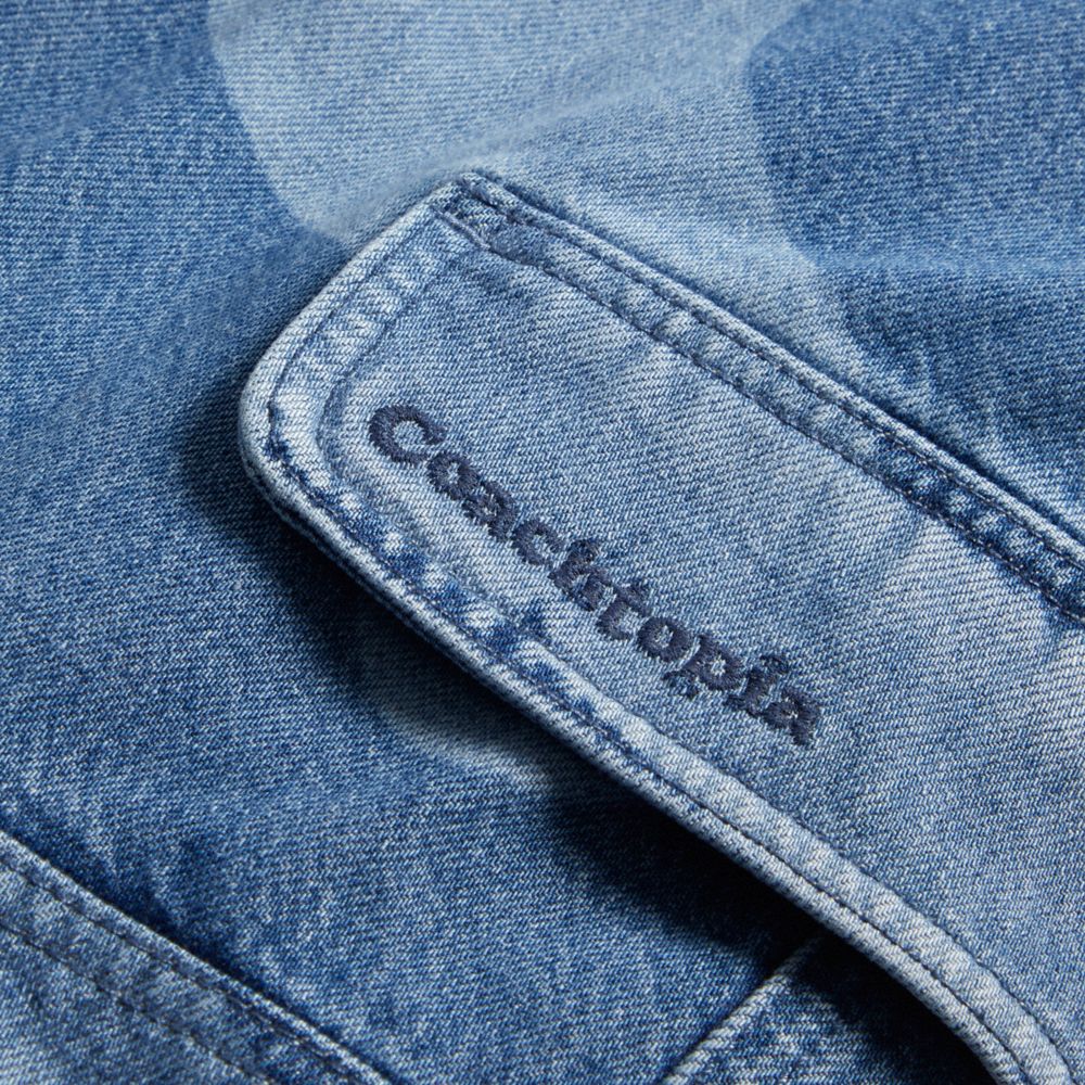 Denim Coach Cargo Pants In Wavy Wash | COH866023