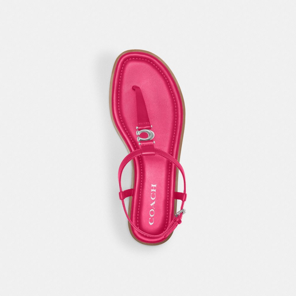Dragon Fruit Coach Jessica Sandal | COH865849