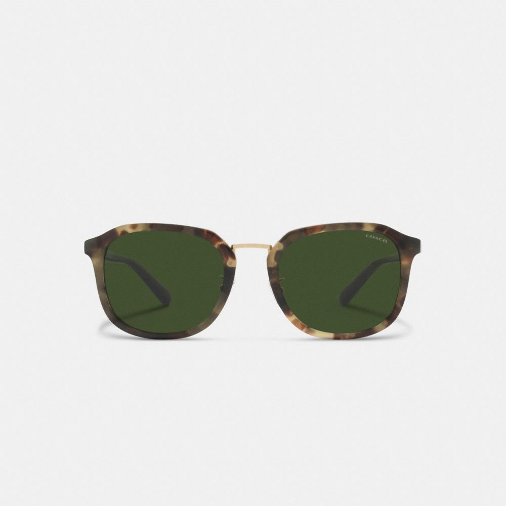 Green Tortoise Coach Rounded Geometric Sunglasses | COH866342