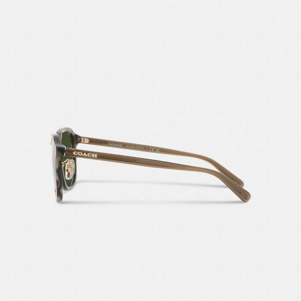 Green Tortoise Coach Rounded Geometric Sunglasses | COH866342
