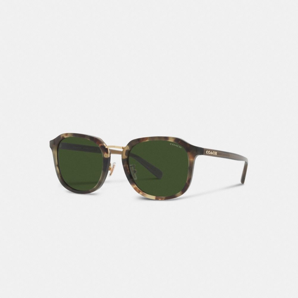 Green Tortoise Coach Rounded Geometric Sunglasses | COH866342