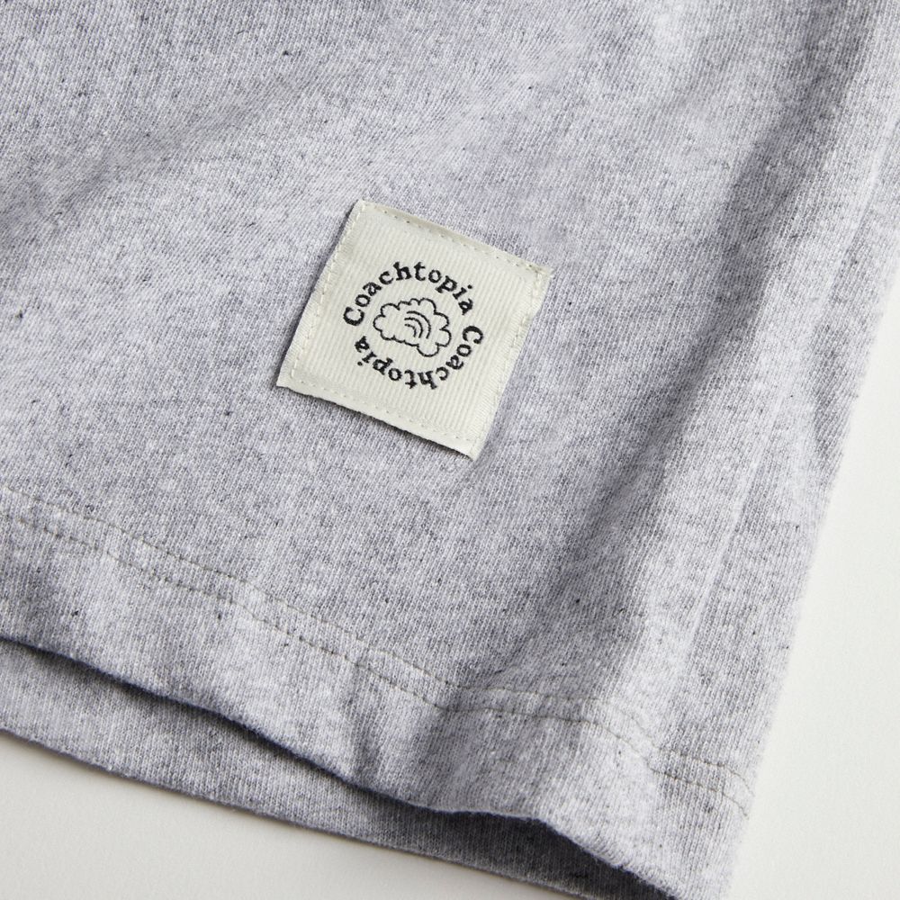 Grey Multi. Coach Relaxed T Shirt: Flower Pot | COH866911