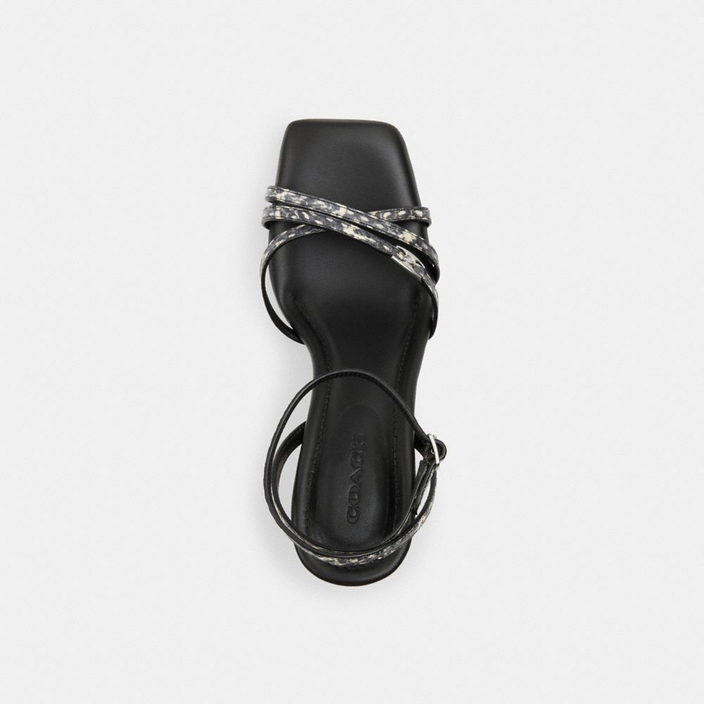 Natural Coach Kelsey Sandal In Snakeskin | COH865758