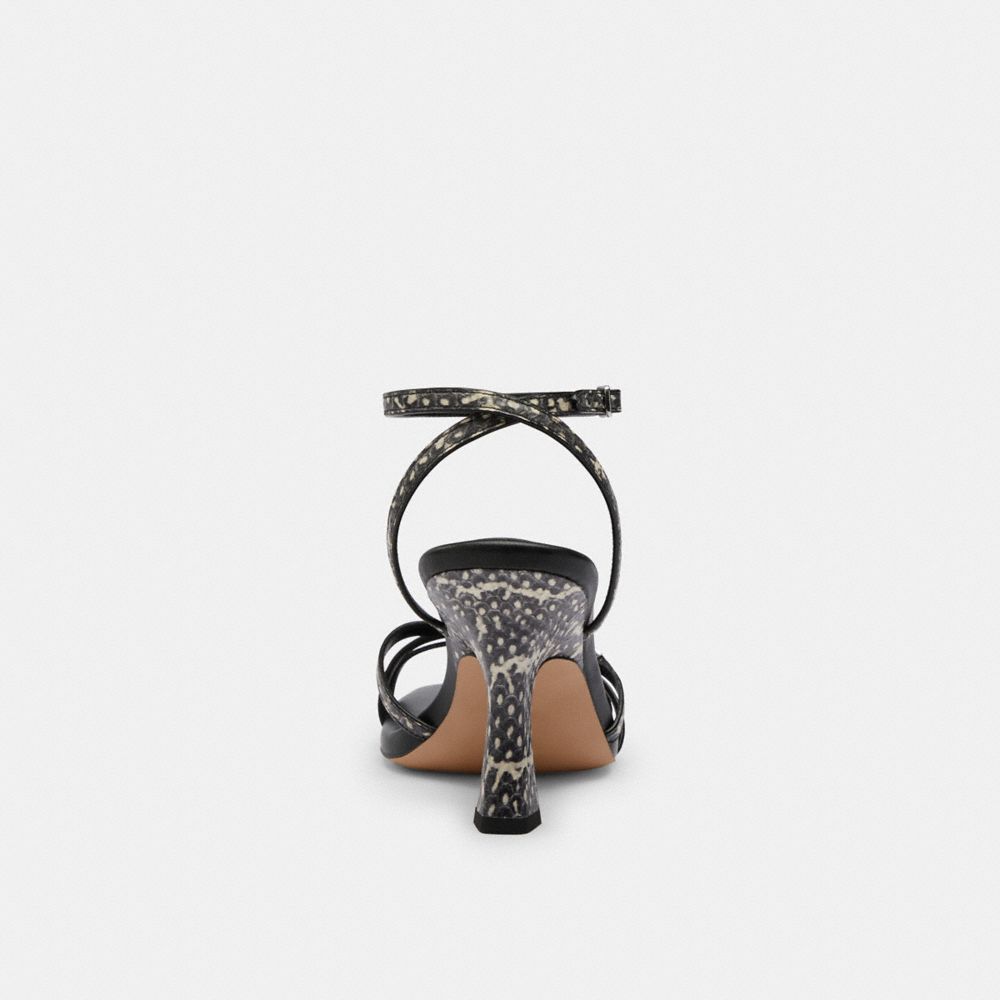 Natural Coach Kelsey Sandal In Snakeskin | COH865907