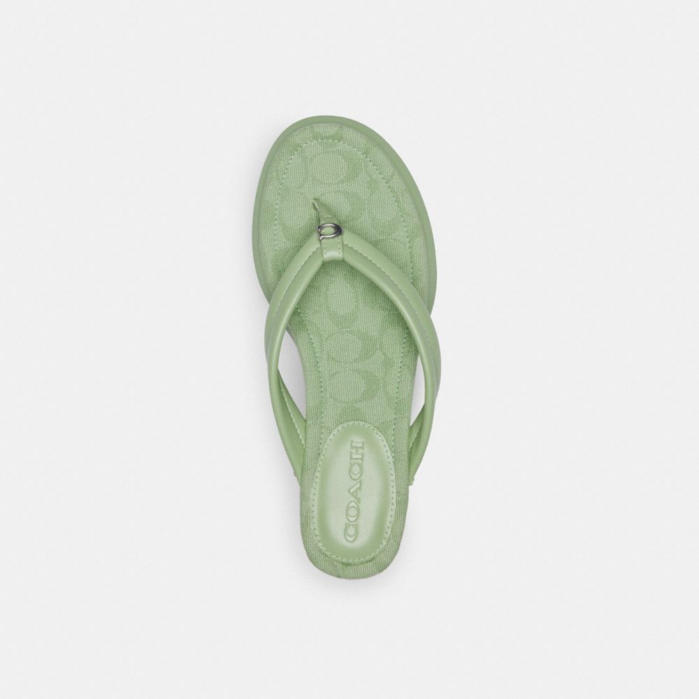 Pale Pistachio Coach Franki Flip Flop In Signature Jacquard | COH865848