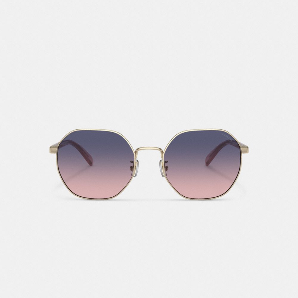 Purple/Pink Coach Metal Hexagon Sunglasses | COH866356