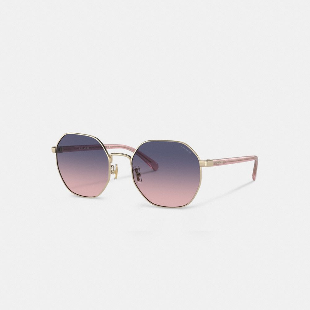 Purple/Pink Coach Metal Hexagon Sunglasses | COH866356