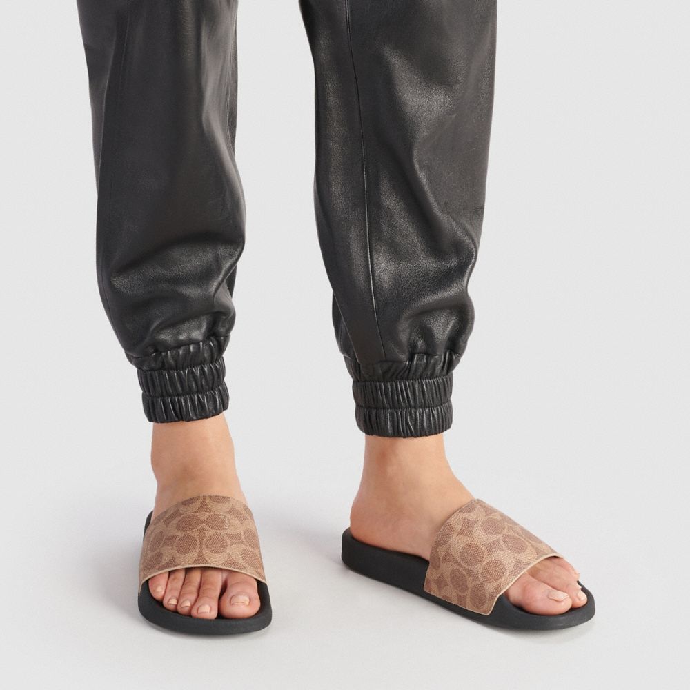 Signature Coated Canvas/Rubber/Tan Coach Udele Sport Slide In Signature Canvas | COH865855