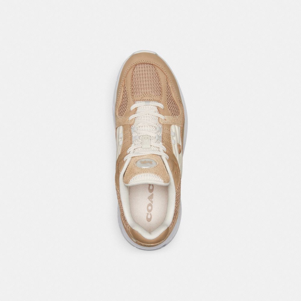 Taupe Coach C301 Sneaker | COH865813