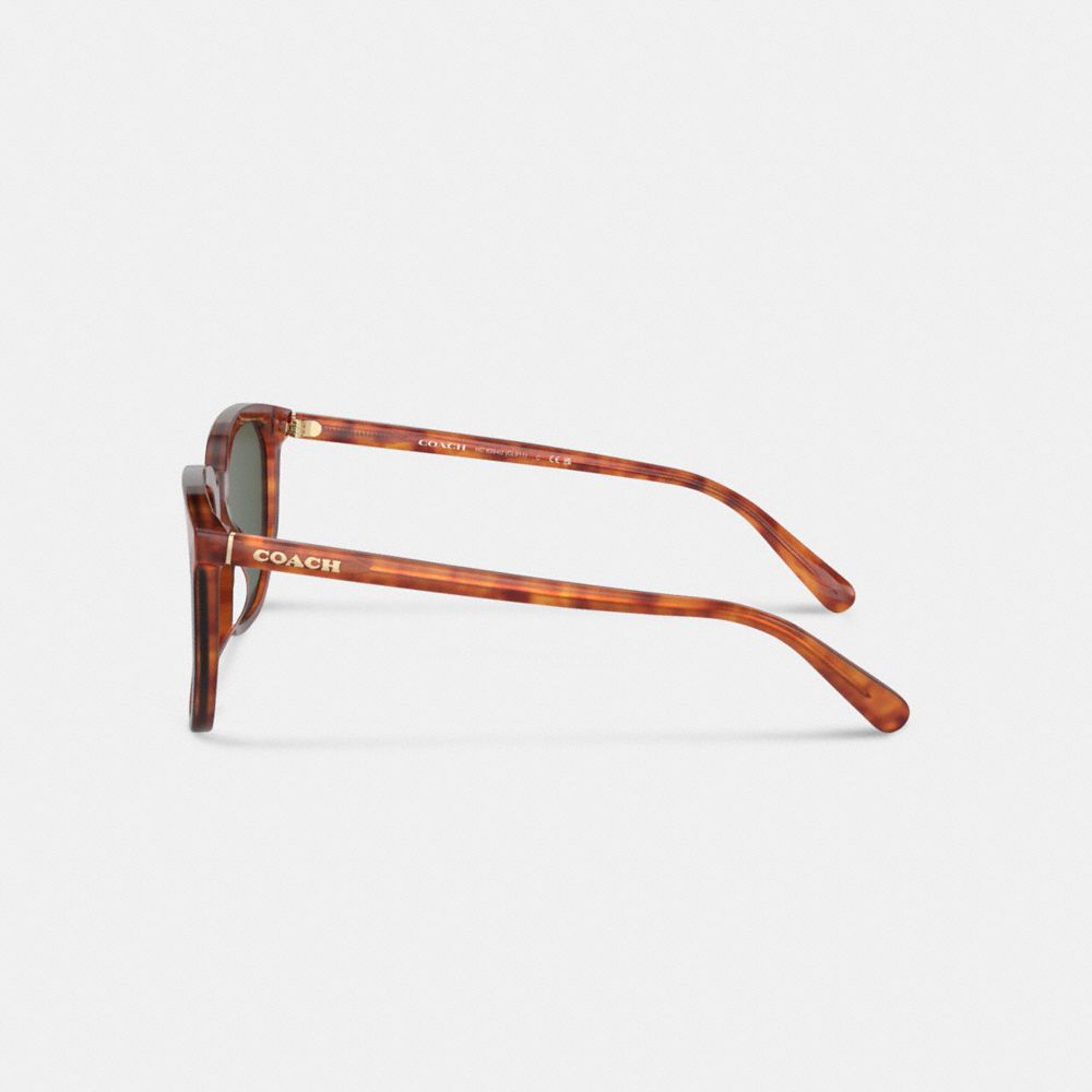 Tortoise Green Coach Geometric Square Sunglasses | COH866336
