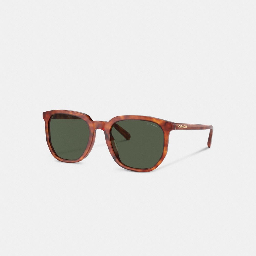 Tortoise Green Coach Geometric Square Sunglasses | COH866336