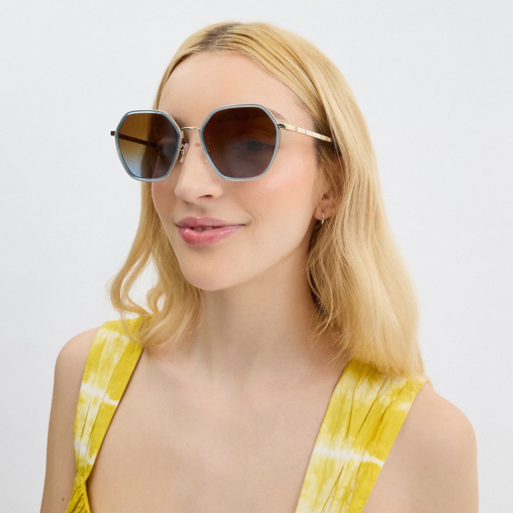 Transparent Blue Coach Embellished Narrow Metal Hexagon Sunglasses | COH866323