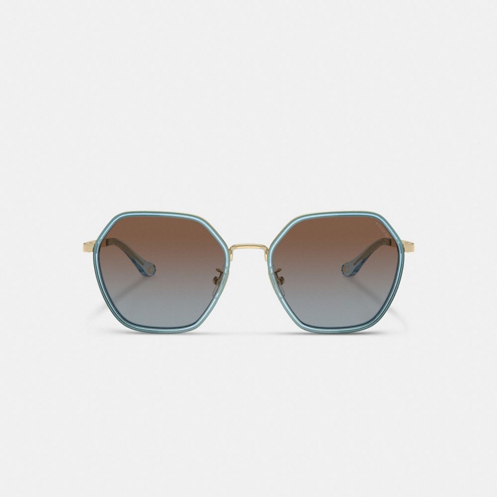 Transparent Blue Coach Embellished Narrow Metal Hexagon Sunglasses | COH866323