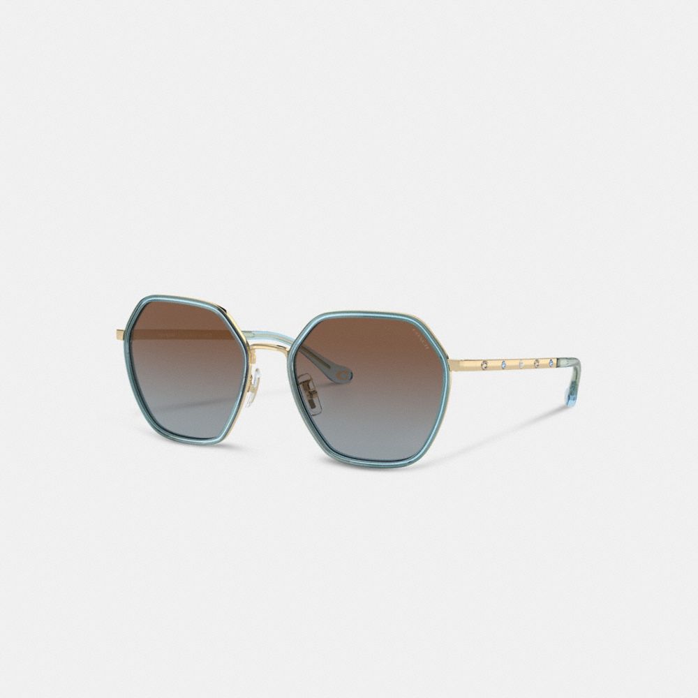 Transparent Blue Coach Embellished Narrow Metal Hexagon Sunglasses | COH866323