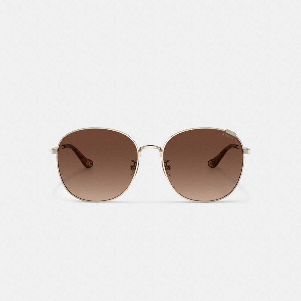 Transparent Brown Coach Metal Round Sunglasses | COH866365