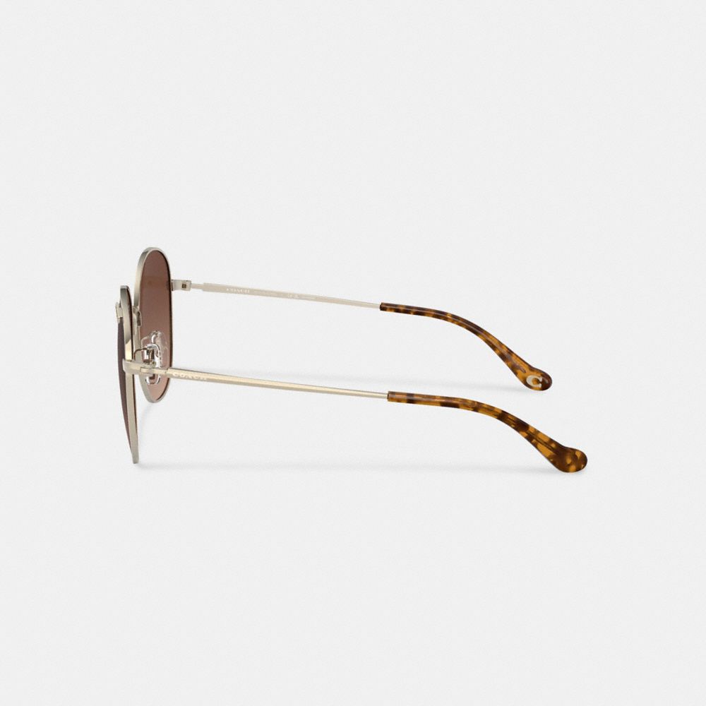 Transparent Brown Coach Metal Round Sunglasses | COH866365