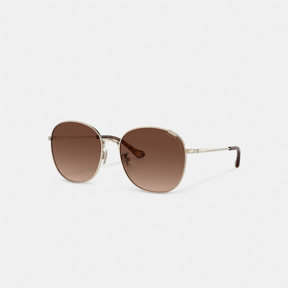 Transparent Brown Coach Metal Round Sunglasses | COH866365