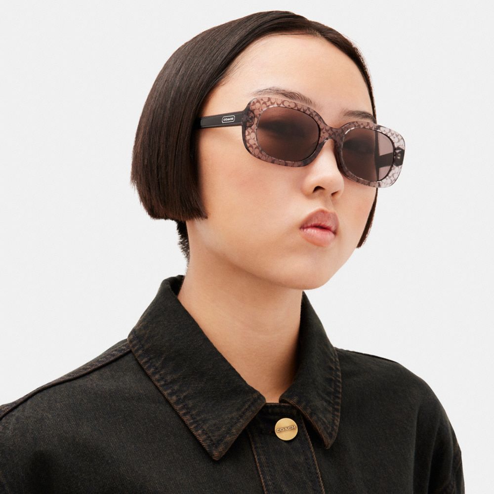 Transparent Grey Signature Coach Badge Rounded Square Sunglasses | COH866369
