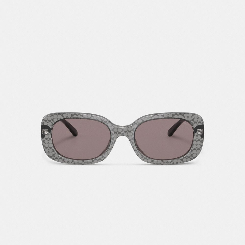 Transparent Grey Signature Coach Badge Rounded Square Sunglasses | COH866369
