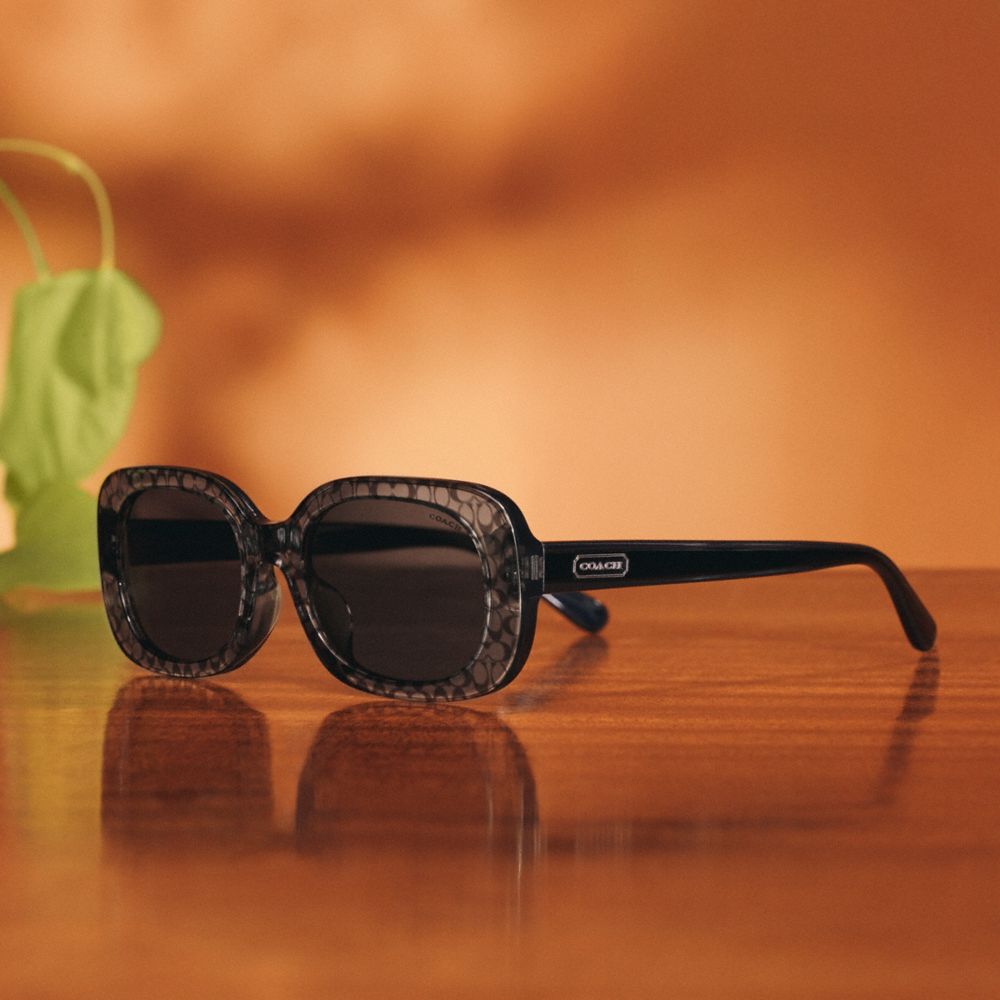 Transparent Grey Signature Coach Badge Rounded Square Sunglasses | COH866369