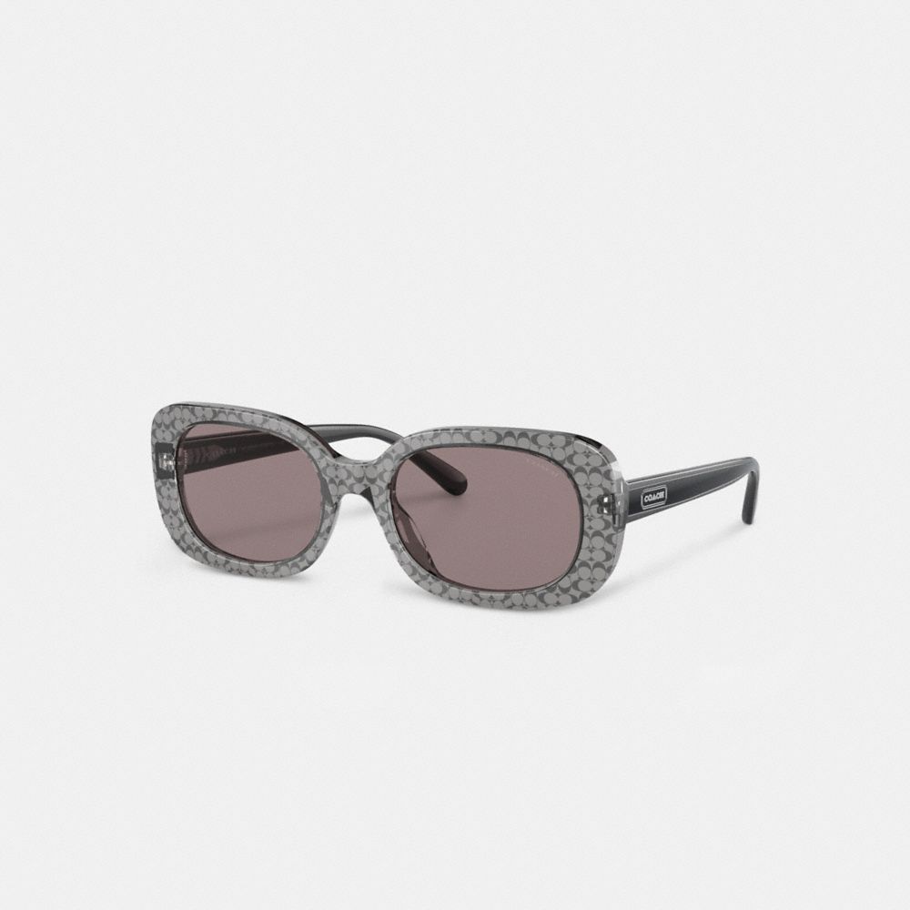 Transparent Grey Signature Coach Badge Rounded Square Sunglasses | COH866369